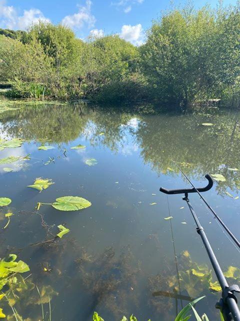 Marsh Water Ponds Fishery Villa Kidwelly Eksteriør bilde