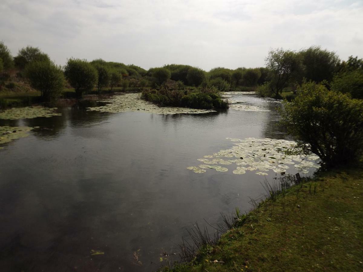 Marsh Water Ponds Fishery Villa Kidwelly Eksteriør bilde