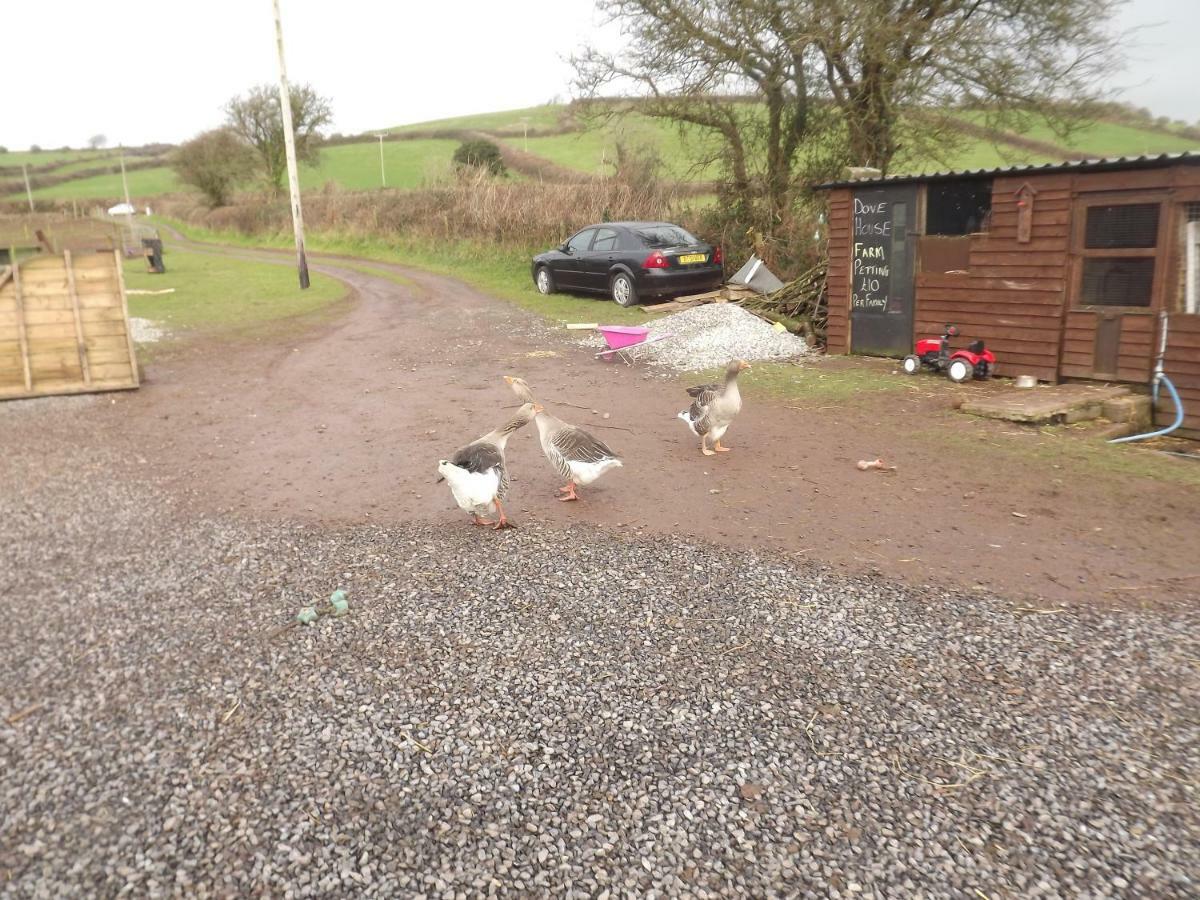 Marsh Water Ponds Fishery Villa Kidwelly Eksteriør bilde