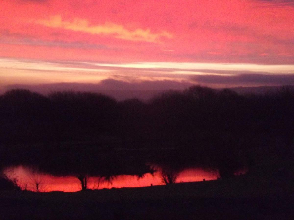 Marsh Water Ponds Fishery Villa Kidwelly Eksteriør bilde