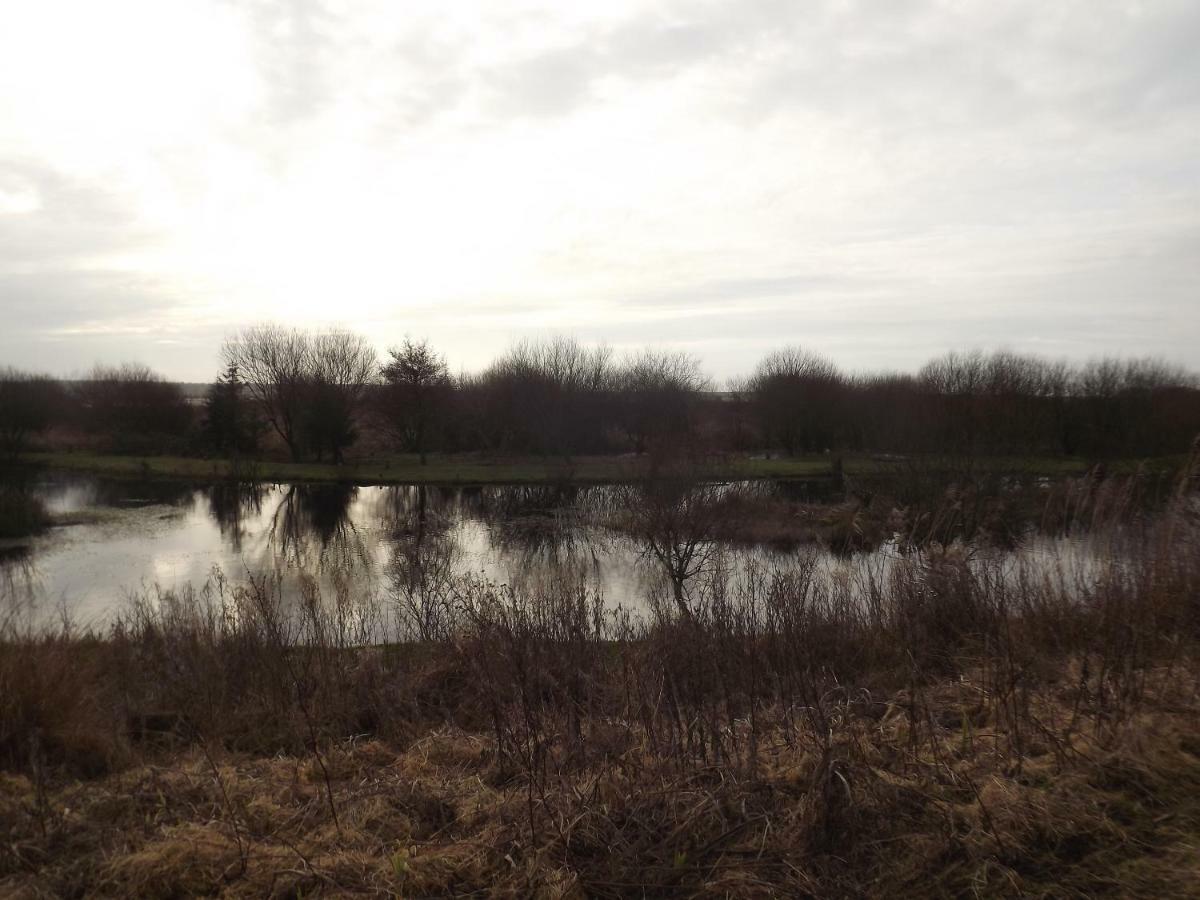 Marsh Water Ponds Fishery Villa Kidwelly Eksteriør bilde