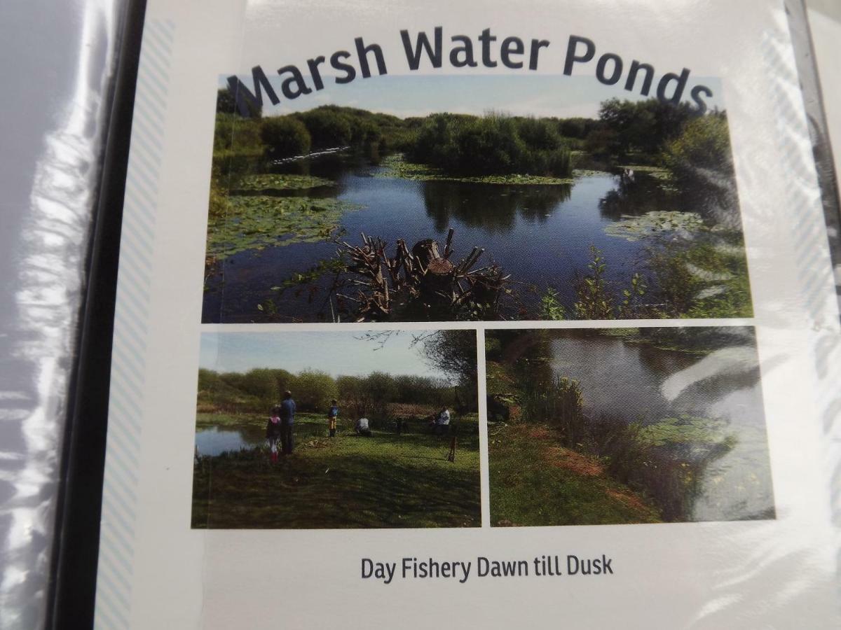 Marsh Water Ponds Fishery Villa Kidwelly Eksteriør bilde